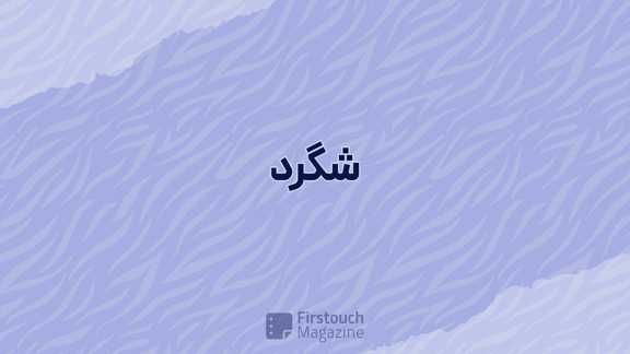 شگرد های فوتبال
